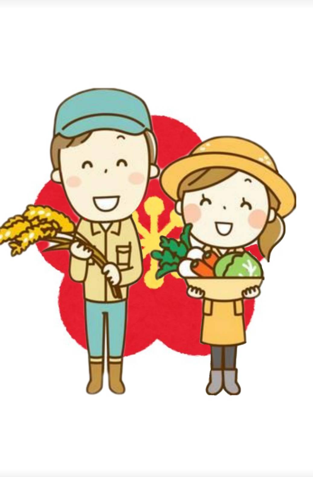 完熟白干し梅A級品【三年熟成梅】本場紀州南高梅みなべ産 1kg(塩分約20