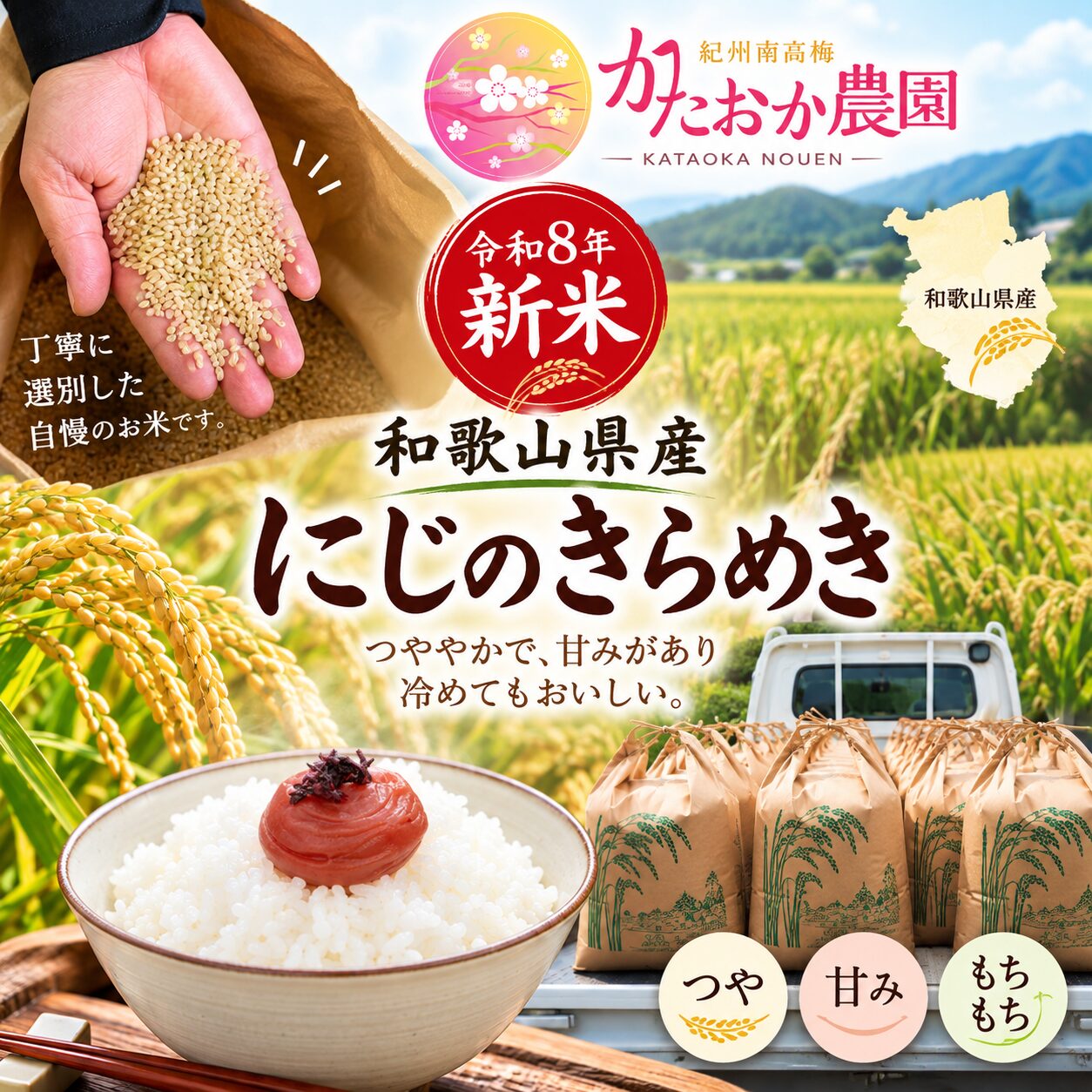 1001_梅干しご飯